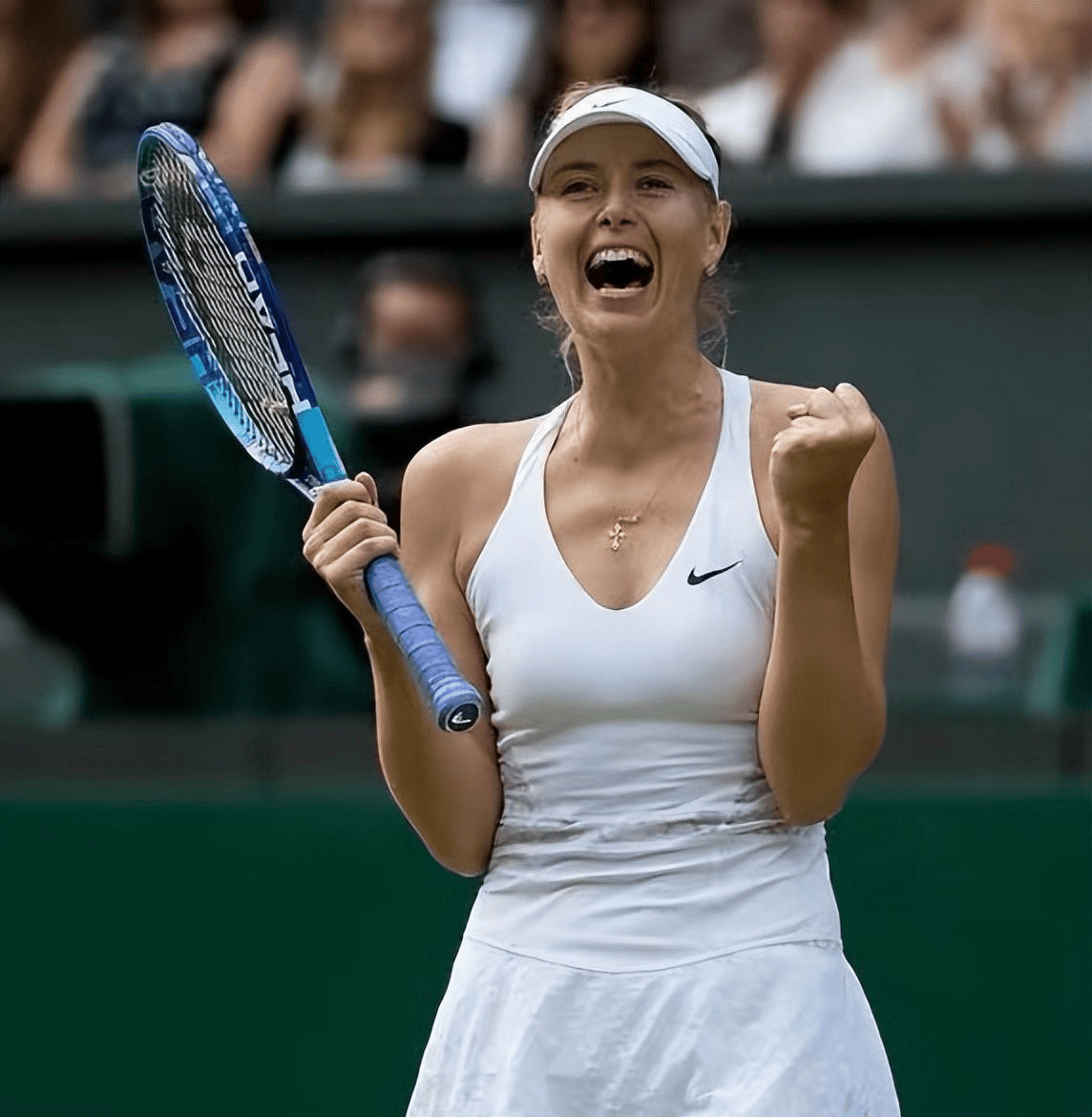 星空体育官方入口 莎拉波娃nba 